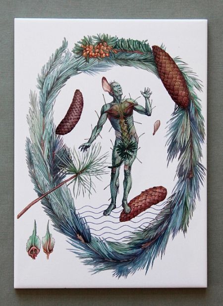 «Шишка». «Вести из ниоткуда»