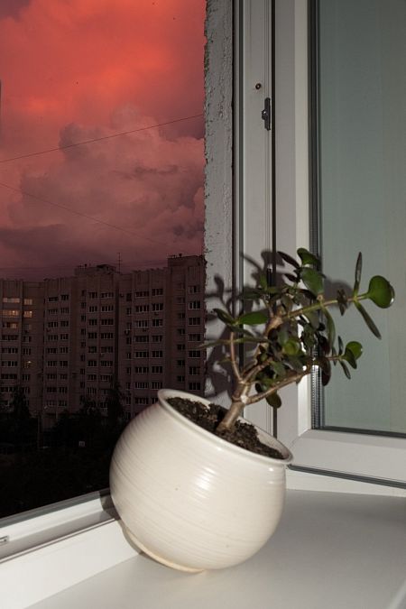 Без названия