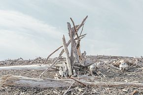 «Башня из соленого дерева» из проекта «Планета Колыма»