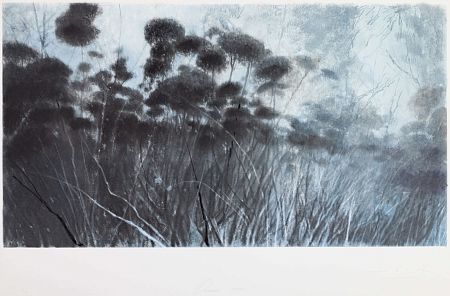 Опасное синее