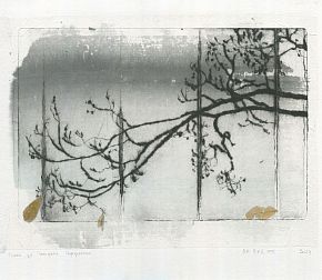 Сосна на улице Погодина, шинколле тушь и листики