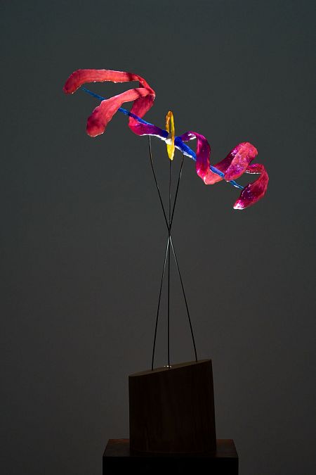 Проект планетарной туманности CAPOS(PN)_0008 в созвездии Кита