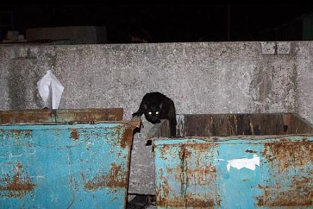 Власть неожиданно переходит к сползанию снега