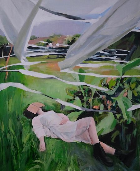 Rice fields and birds traps