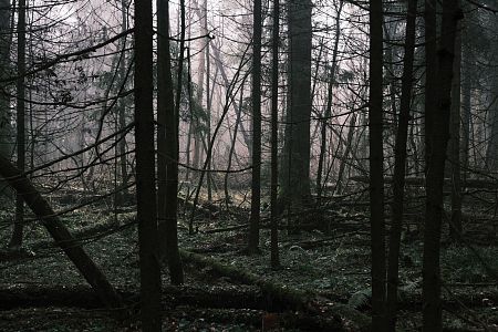 Из серии "The liminal space"